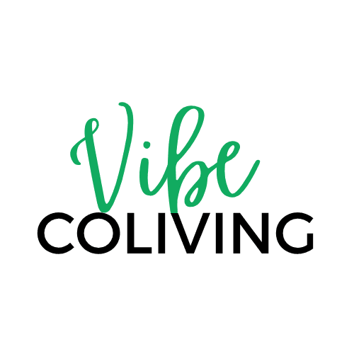 Vibe logo